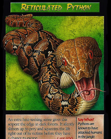 Reticulated Python Weird N Wild Creatures Wiki Fandom