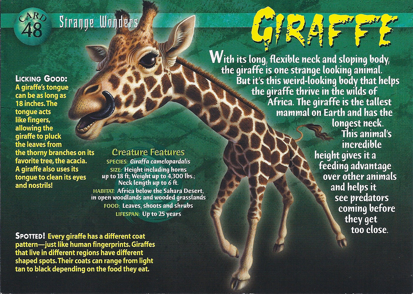 Giraffe | Wierd N'wild Creatures Wiki | FANDOM powered by Wikia