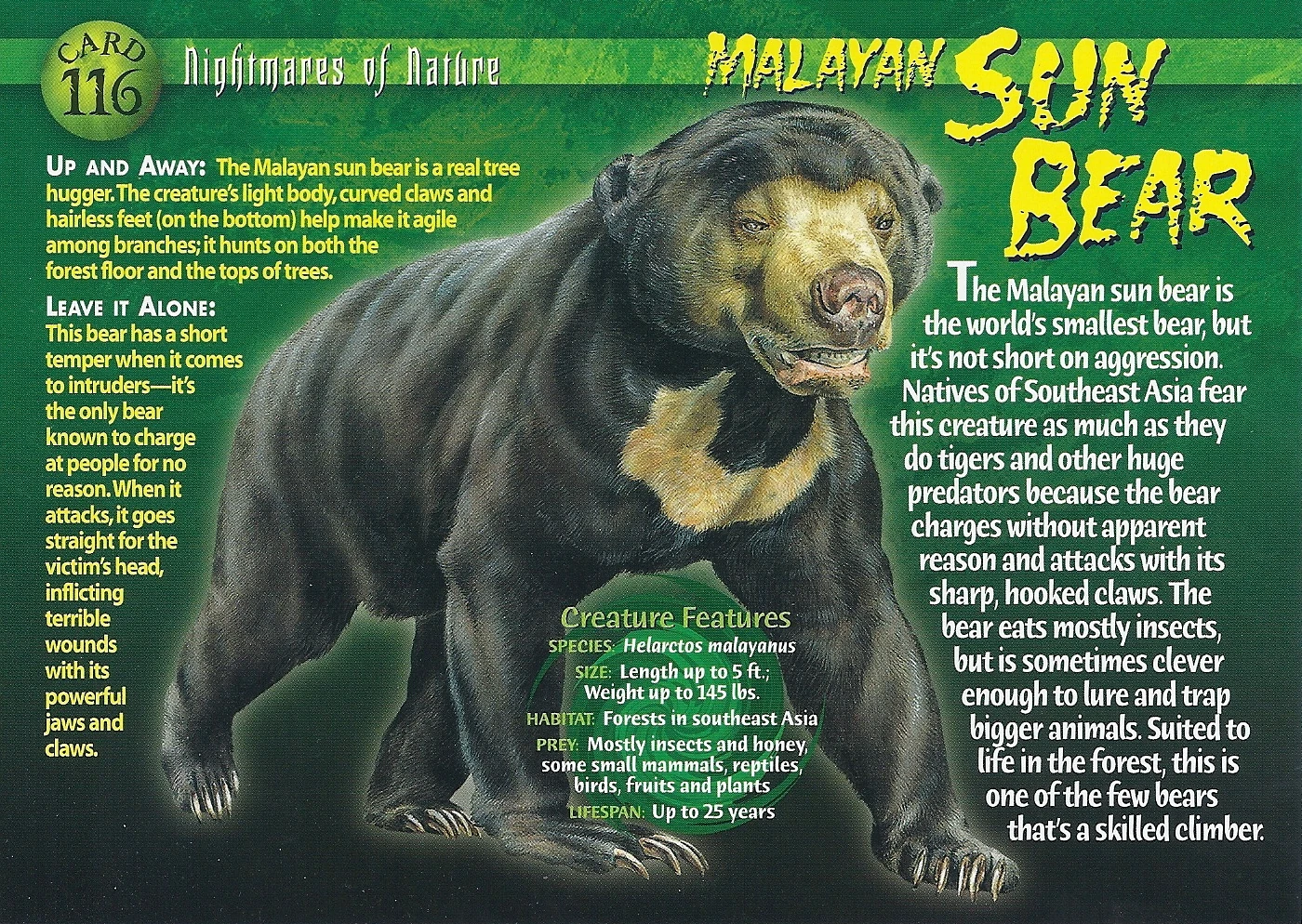 Malayan Sun Bear | Weird n' Wild Creatures Wiki | Fandom