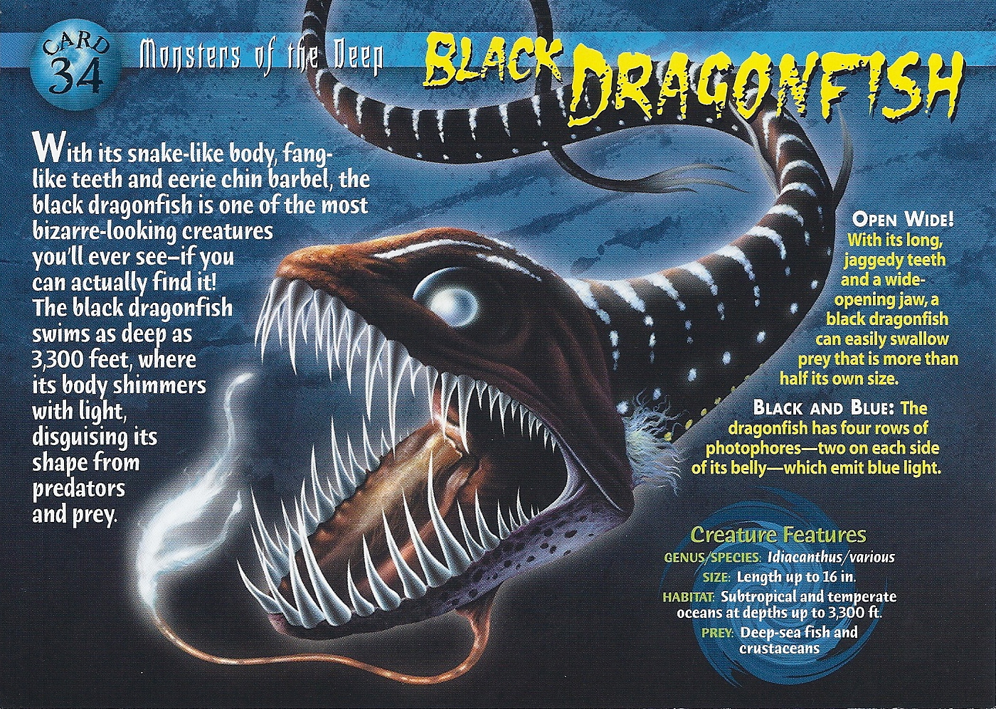 Black Dragonfish Weird n' Wild Creatures Wiki FANDOM