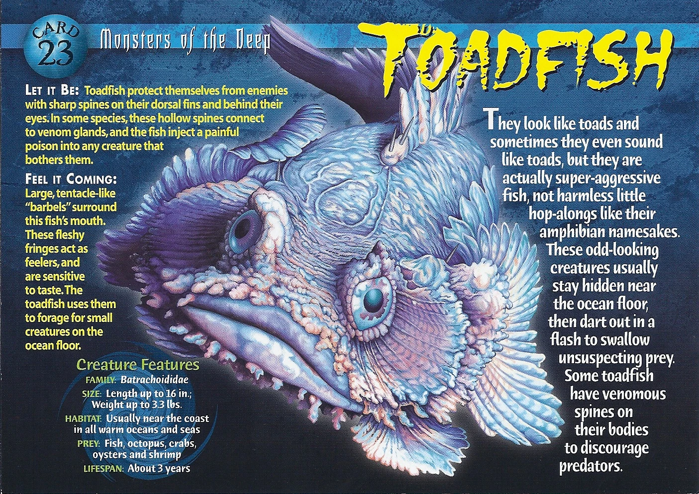 Toadfish Weird n' Wild Creatures Wiki FANDOM powered by Wikia