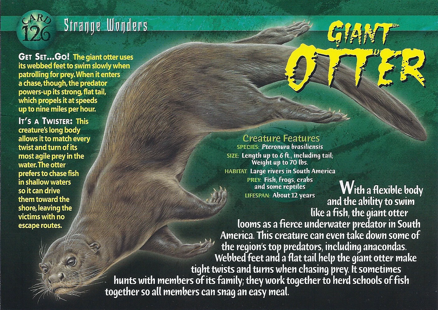 Giant Otter | Weird n' Wild Creatures Wiki | FANDOM powered by Wikia