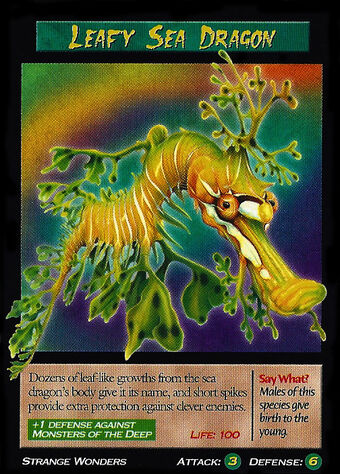 Leafy Sea Dragon Tcg Weird N Wild Creatures Wiki Fandom