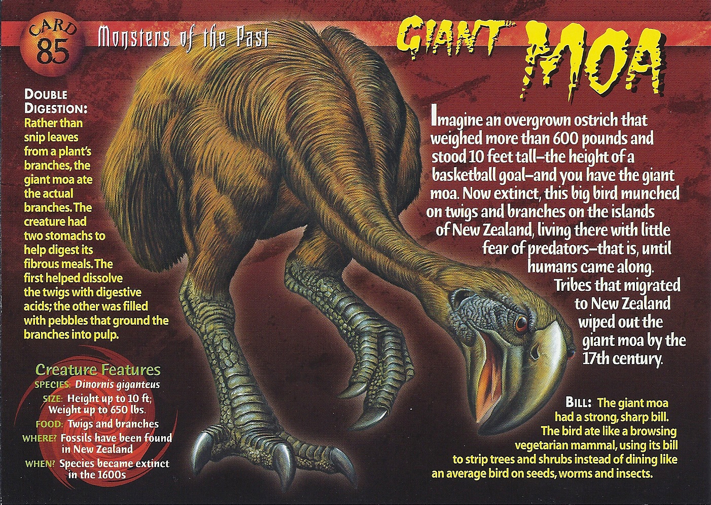 Giant Moa | Weird n' Wild Creatures Wiki | FANDOM powered by Wikia