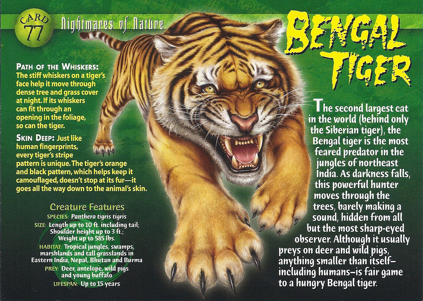 Bengal Tiger Games Bengal Tiger Games