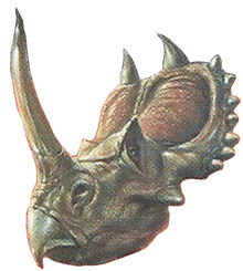 Triceratops Back Image 2