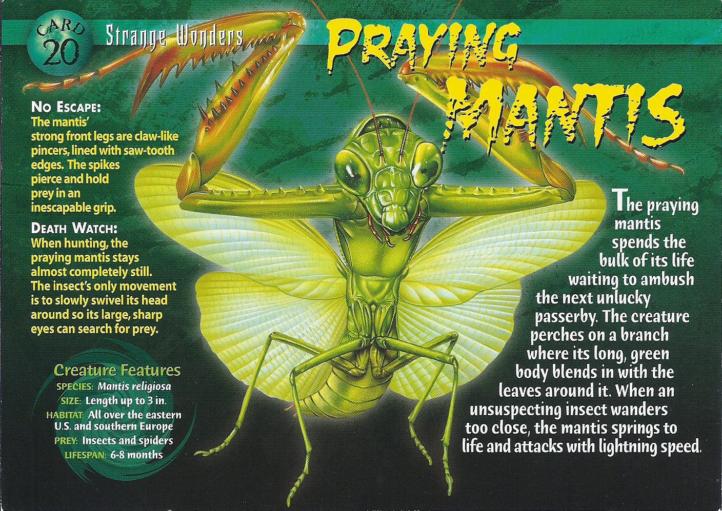 praying mantis xenomorph