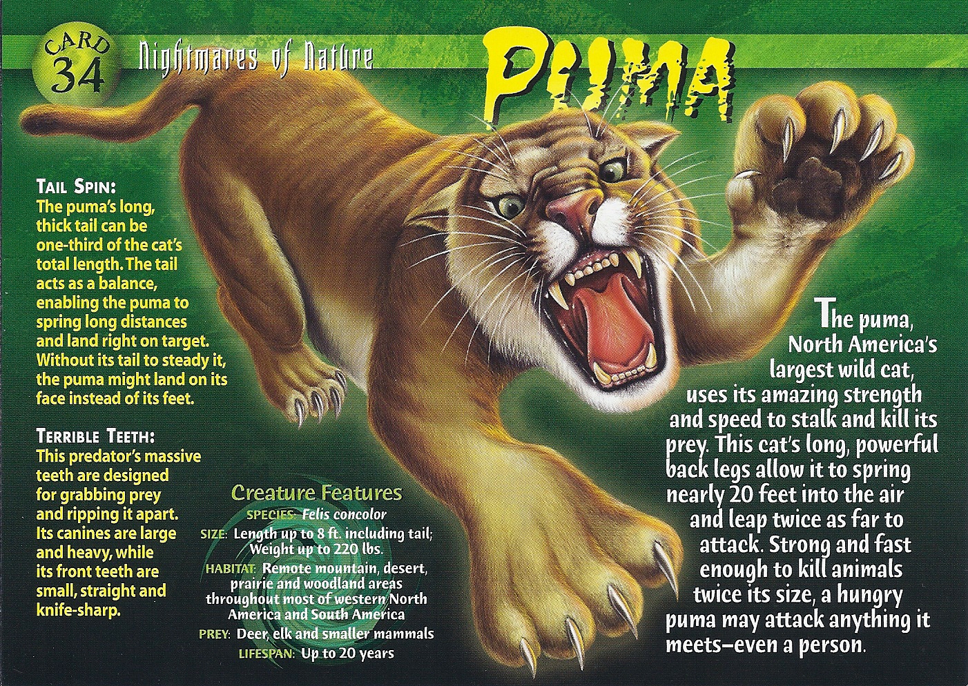 puma wiki