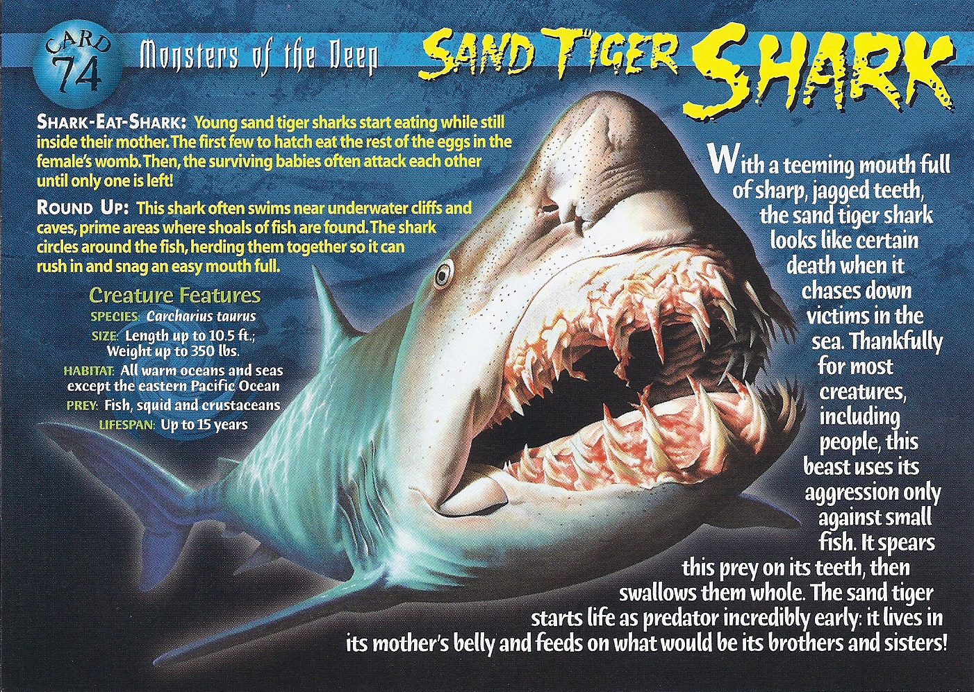 Sand Tiger Shark | Weird n' Wild Creatures Wiki | Fandom