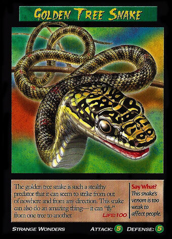 Golden Tree Snake Tcg Weird N Wild Creatures Wiki Fandom