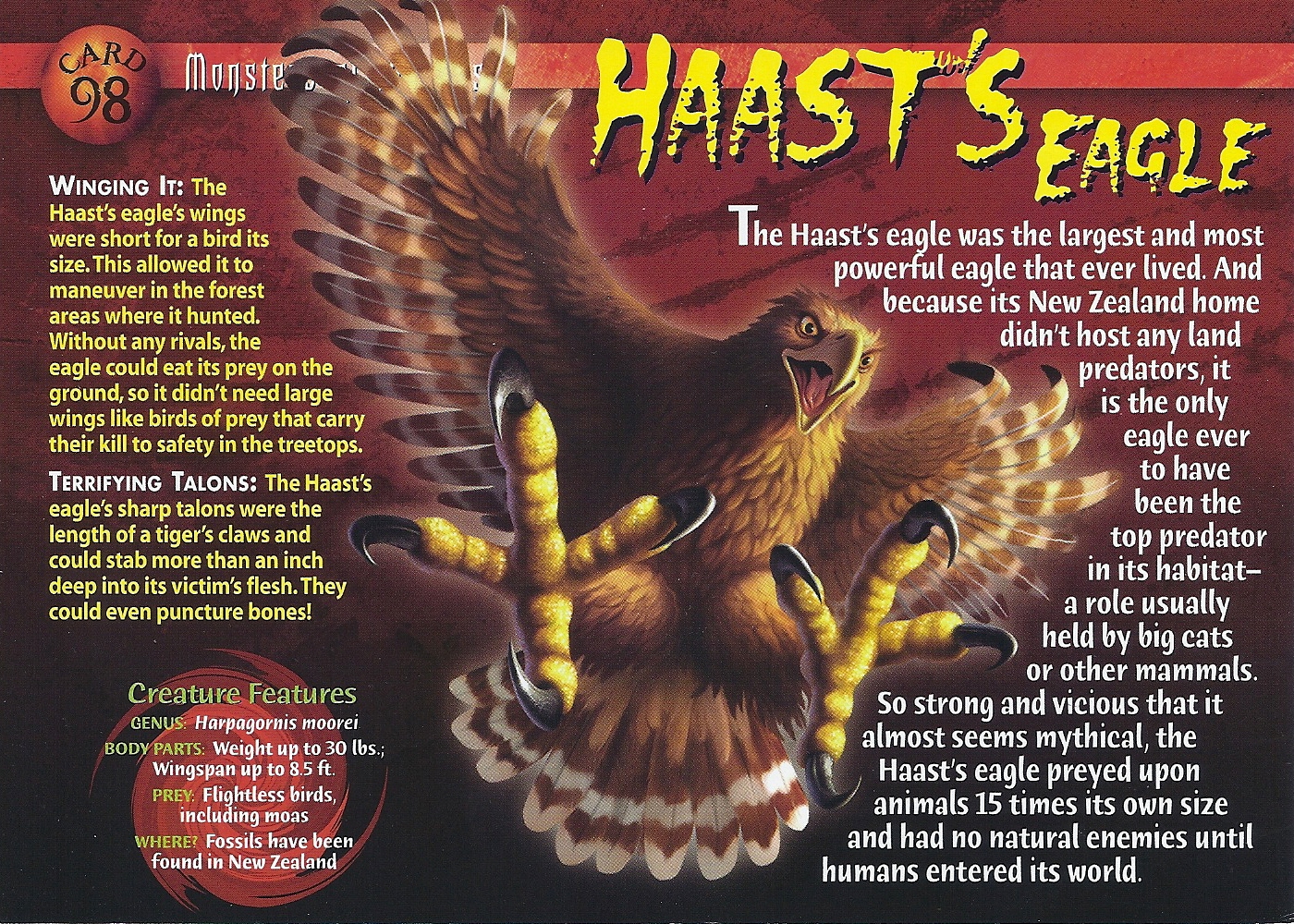 haasts eagle wierd nwild creatures wiki fandom powered by wikia haast eagle size
