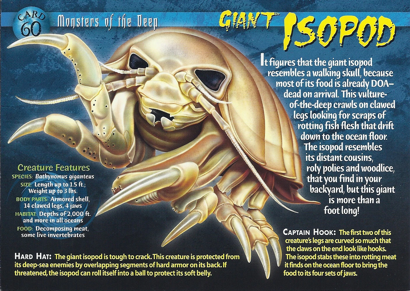 Giant Isopod Weird n' Wild Creatures Wiki FANDOM powered by Wikia