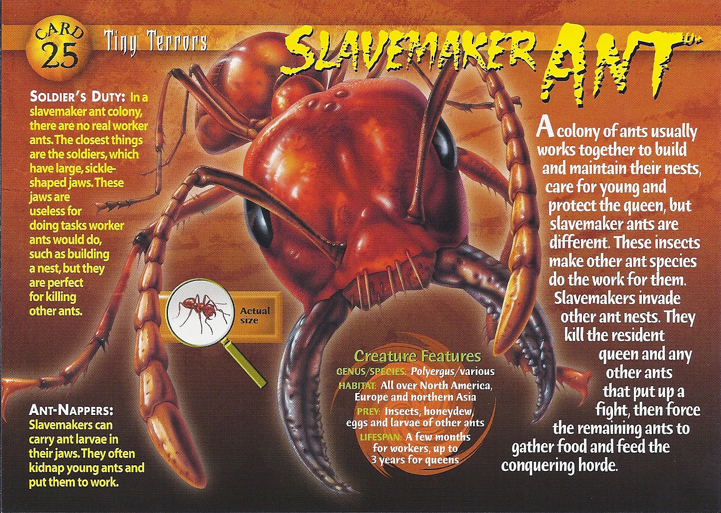 Slave maker wiki Slave maker wiki
