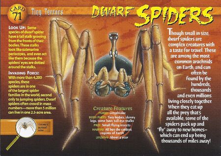 dwarf spider front wikia terrors tiny card