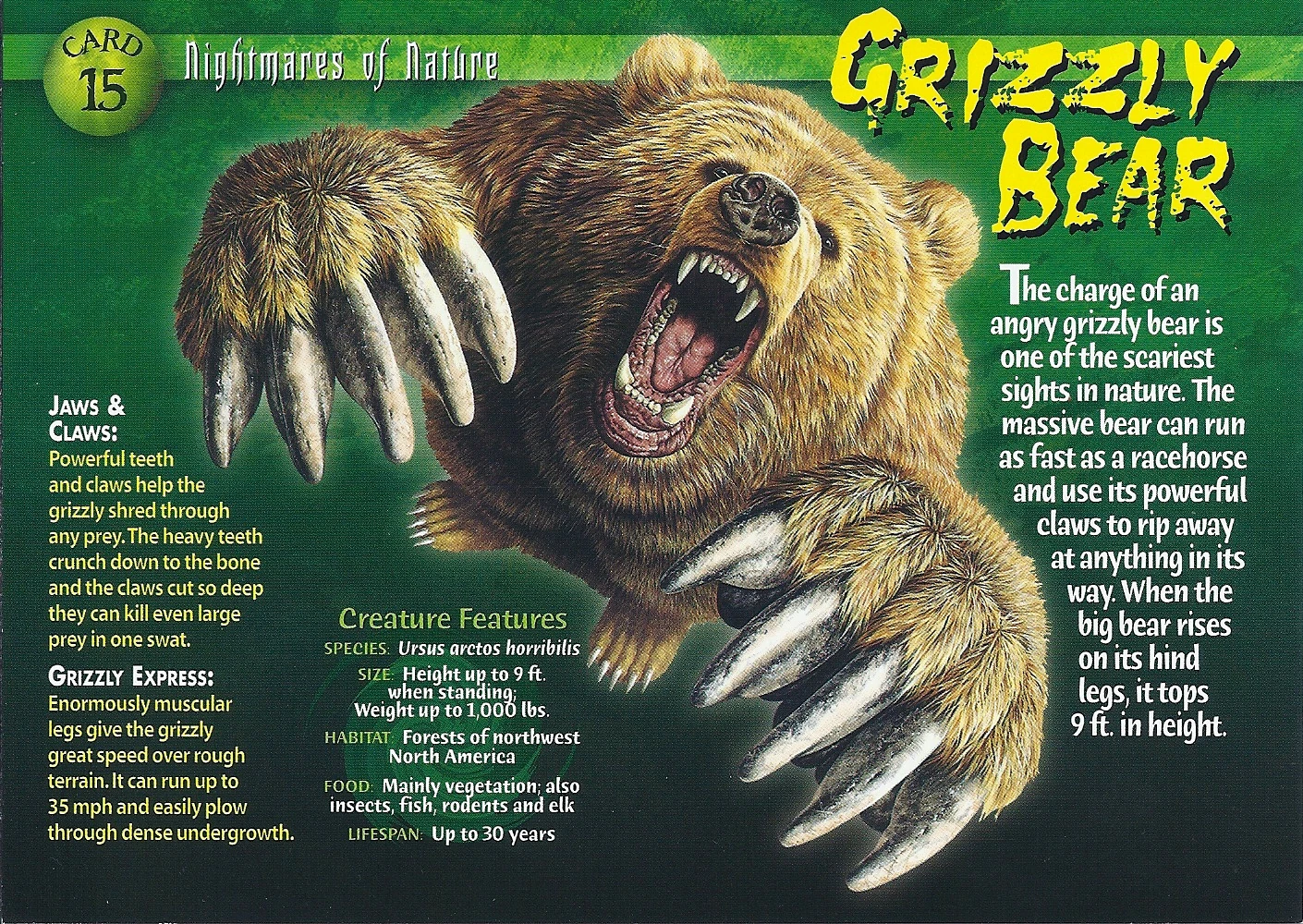 Grizzly Bear Weird N Wild Creatures Wiki Fandom