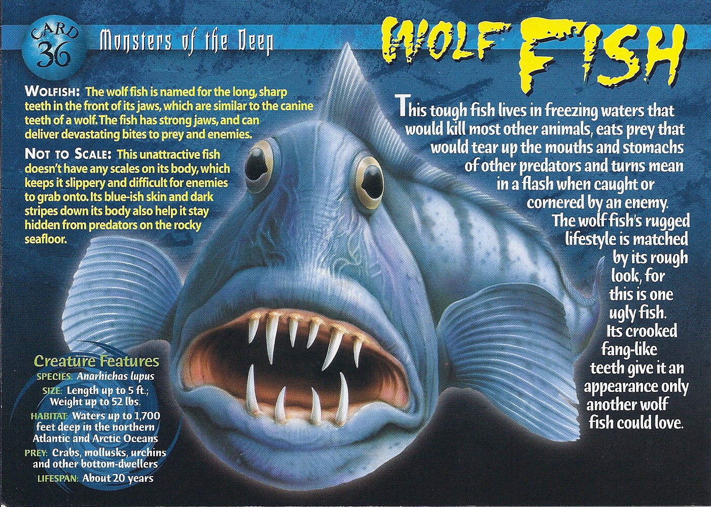 Wolf Fish | Weird n' Wild Creatures Wiki | Fandom