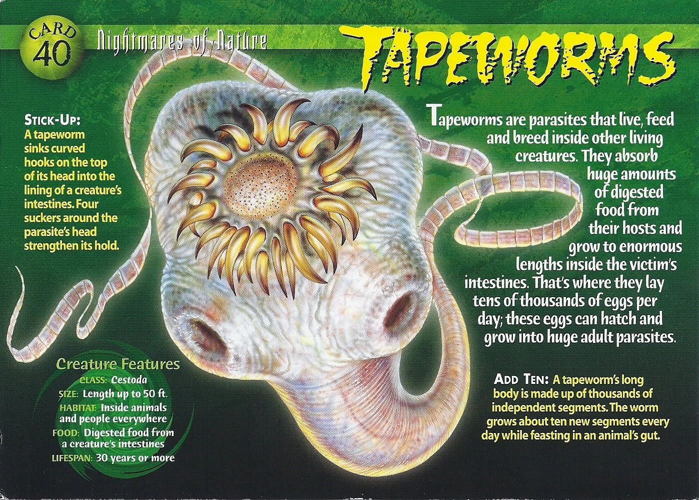 Tapeworm Weird n' Wild Creatures Wiki FANDOM powered by Wikia