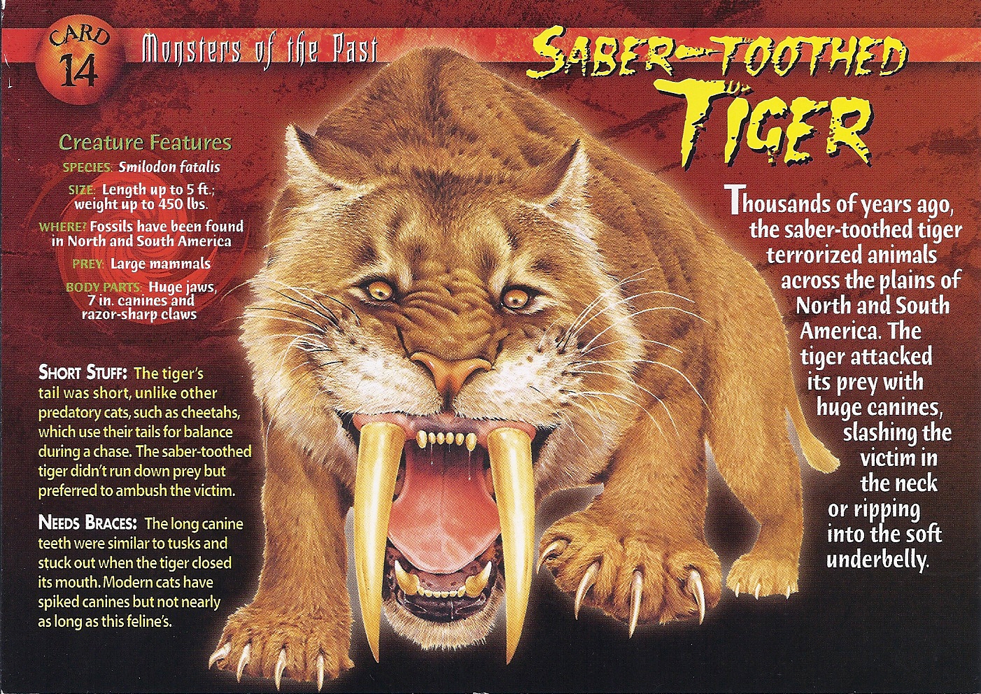 Saber-Toothed Tiger | Weird n' Wild Creatures Wiki | FANDOM powered by