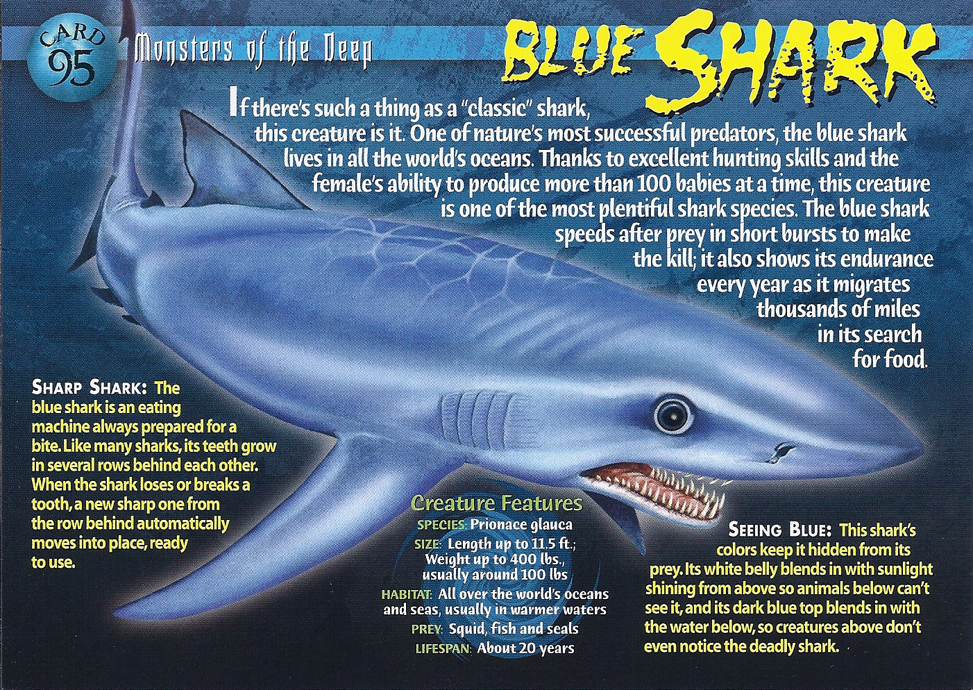 deep blue shark zize