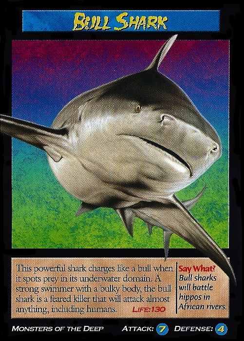 Bull Shark TCG | Wierd N'wild Creatures Wiki | FANDOM powered by Wikia