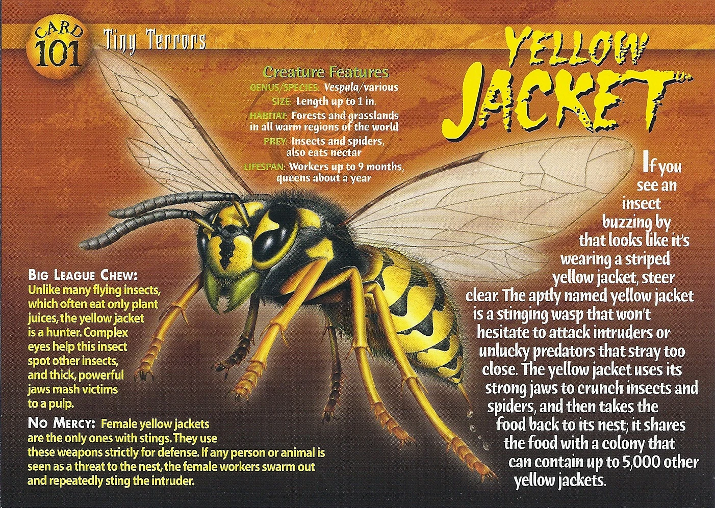 Yellow Jacket Weird n' Wild Creatures Wiki FANDOM powered by Wikia