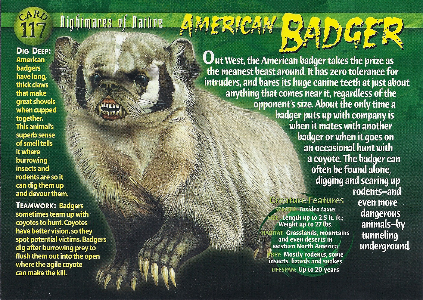 American Badger Weird n' Wild Creatures Wiki Fandom