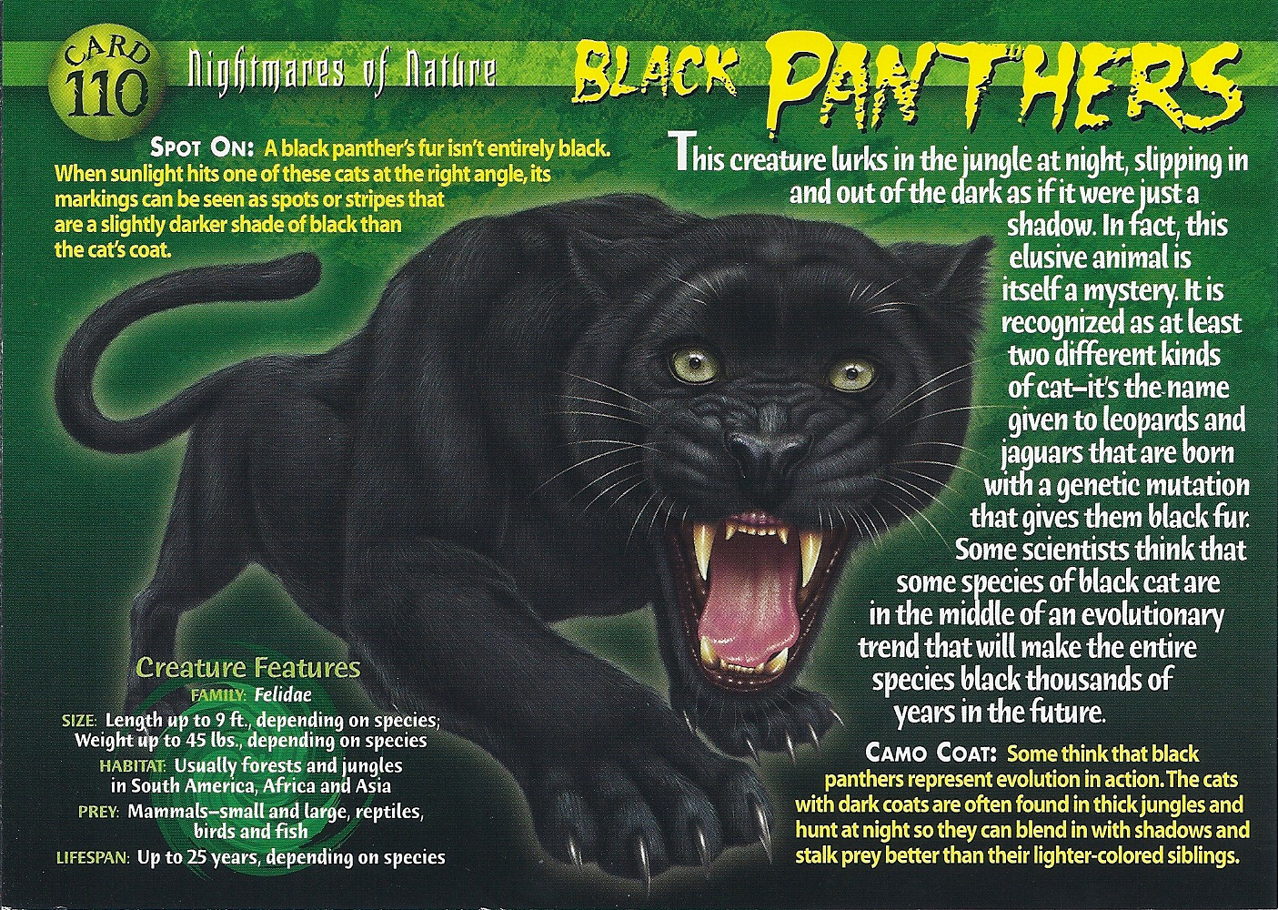 Black Panther Weird N Wild Creatures Wiki FANDOM Powered By Wikia black-panther-weird-n-wild-creatures-wiki-fandom-powered-by-wikia