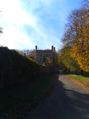 Dzików - Mur arboretum i Kuchnia