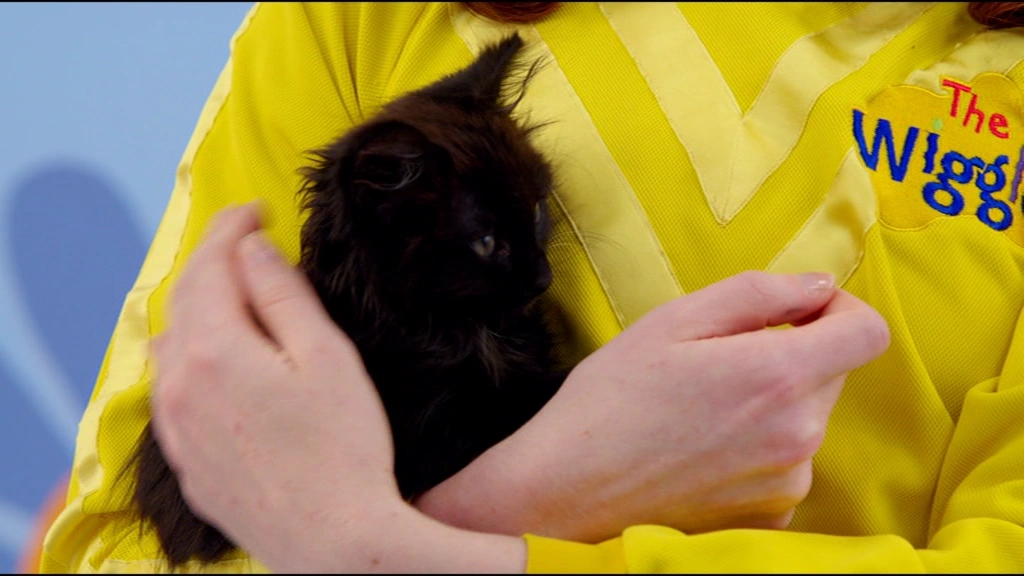 Basil the Cat Wigglepedia FANDOM powered by Wikia