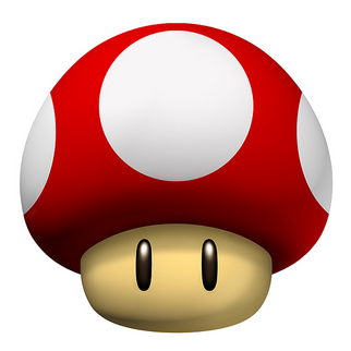 Mushroom2-1-