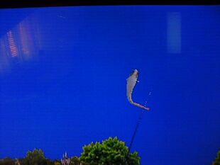Wels Catfish Wii Fishing Resort Wiki Fandom Powered By