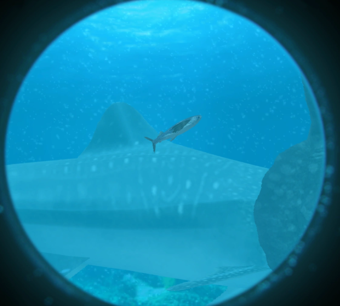 Whale Shark | Wii Fishing Resort Wiki | FANDOM powered by Wikia