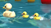 Duckies