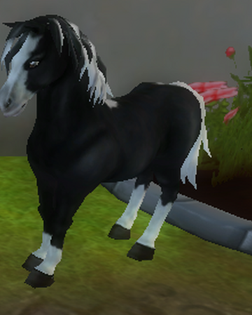 Poney Jorvikois Wikia Wiki Des Jorvikoises Fandom
