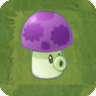 Seta