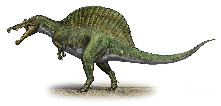 Spinosaurus | Wiki Prehistorica | Fandom