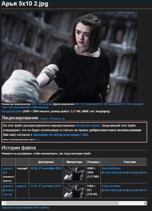 Описание изображения - история