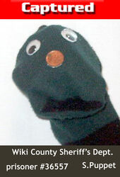 Sockpuppet-mugshot