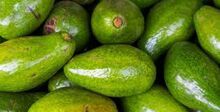 Aguacate