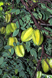 Carambolas