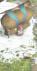 Pokke5