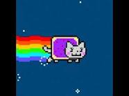 Mrs.Nyan Cat
