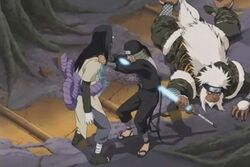 Third-hokage-vs-orochimaru