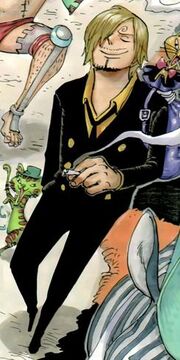 Sanji Timeskip