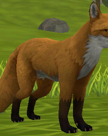 Fox Wildcraft Wiki Fandom