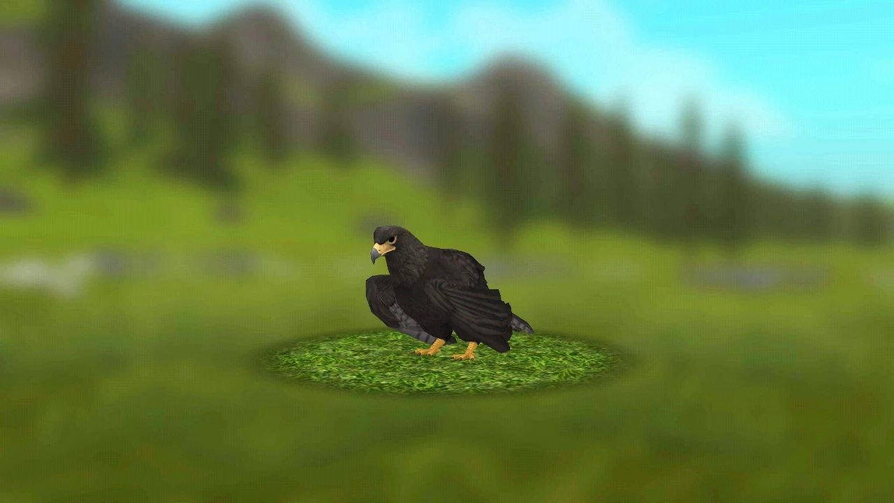 Eagle | WildCraft Wiki | Fandom