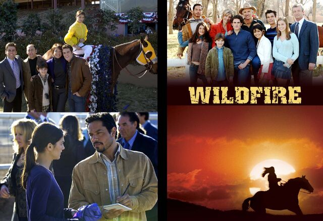 File:Wildfire.jpg
