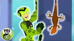 Wild Kratts Wiki Fandom