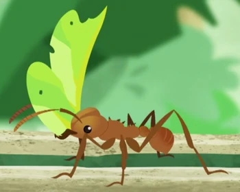 Leafcutter Ant | Wild Kratts Wiki | Fandom