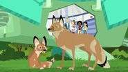 Adapto the Coyote | Wild Kratts Wiki | Fandom